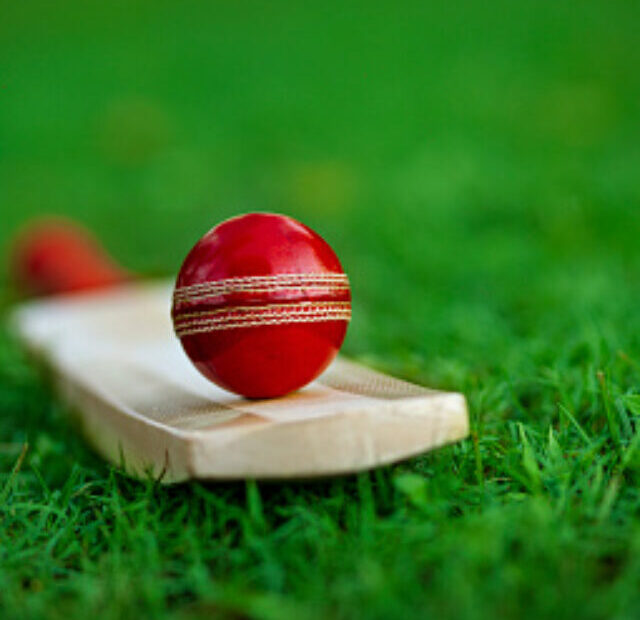Cricket NFT Marketplace to Raise $100M in Series A Funding